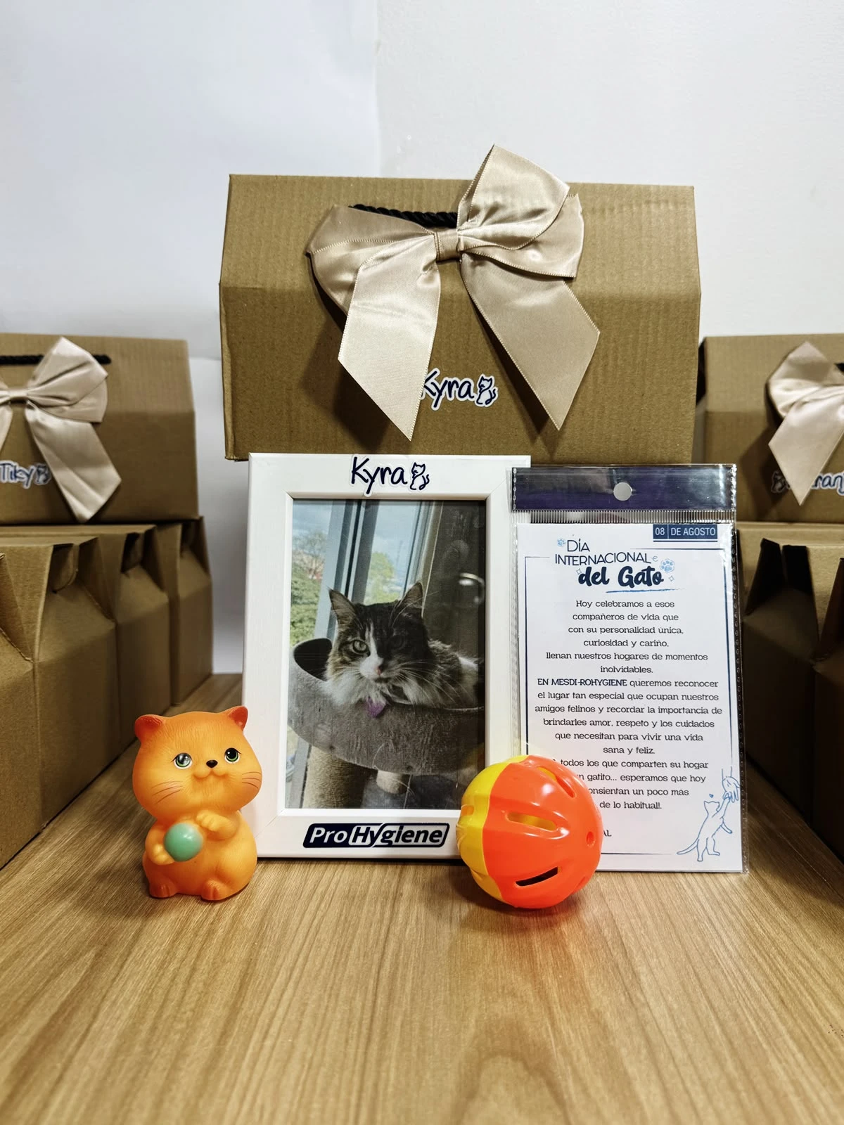 Experiencia corporativa Magnara - Día Internacional del Gato