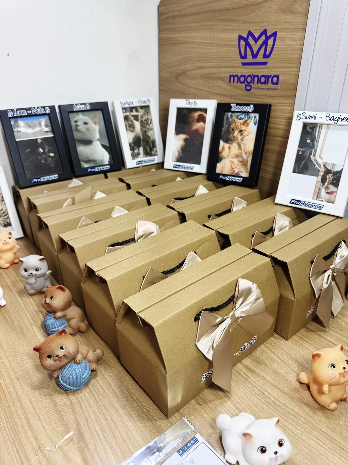 Proceso de preparación de pedidos Magnara