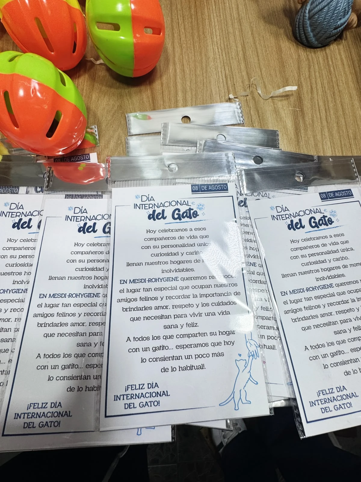 Preparación y organización de campaña Magnara